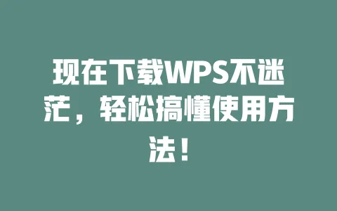 现在下载WPS不迷茫,轻松搞懂使用方法! 一